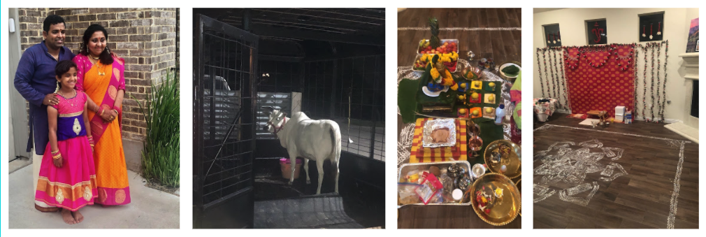 Housewarming with cow, feast, and rangoli pattern